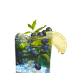 Blueberry Frozen Mojito