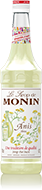 Monin Anise sirup